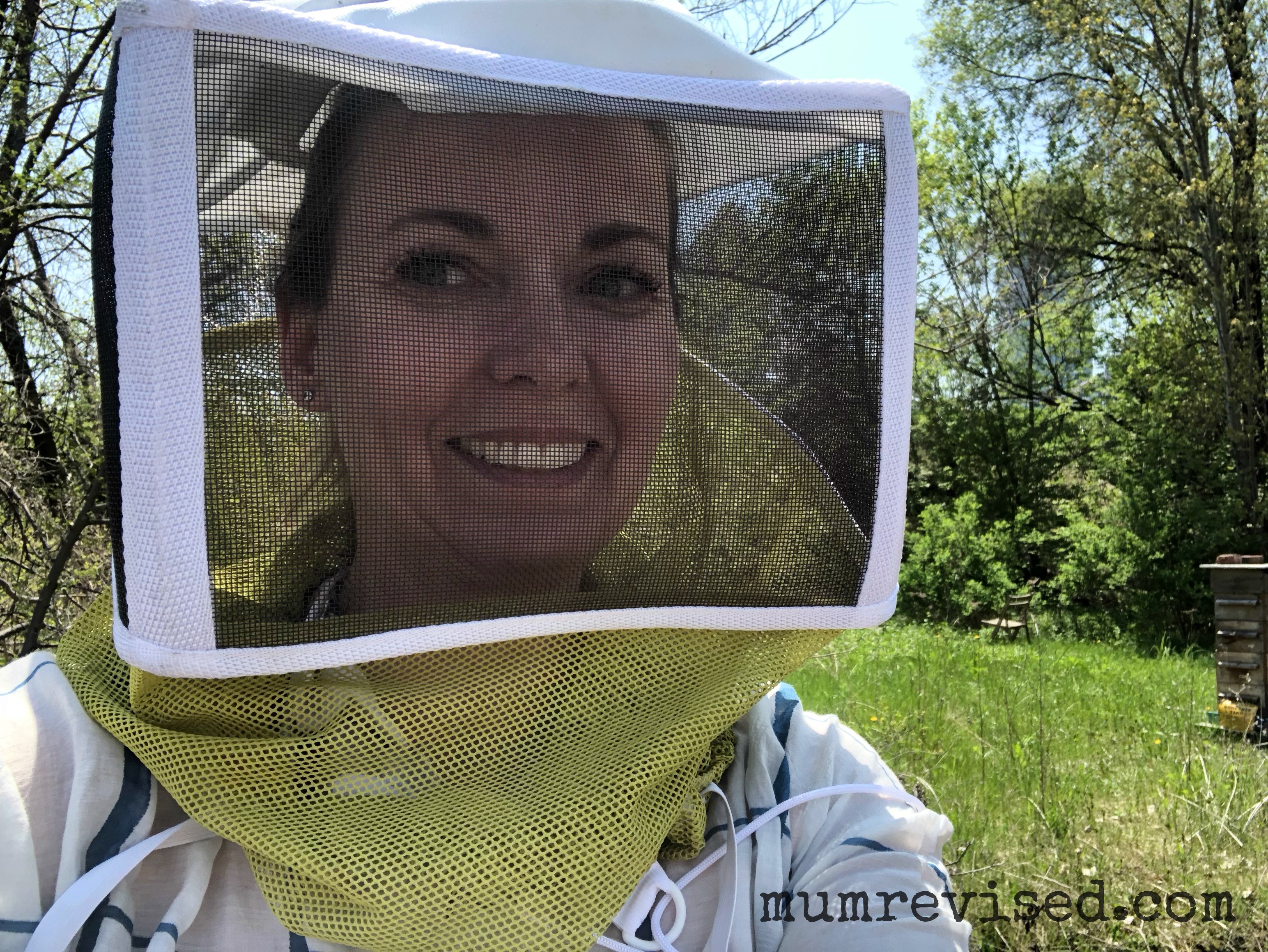 Beeing a Beekeeper for the Day